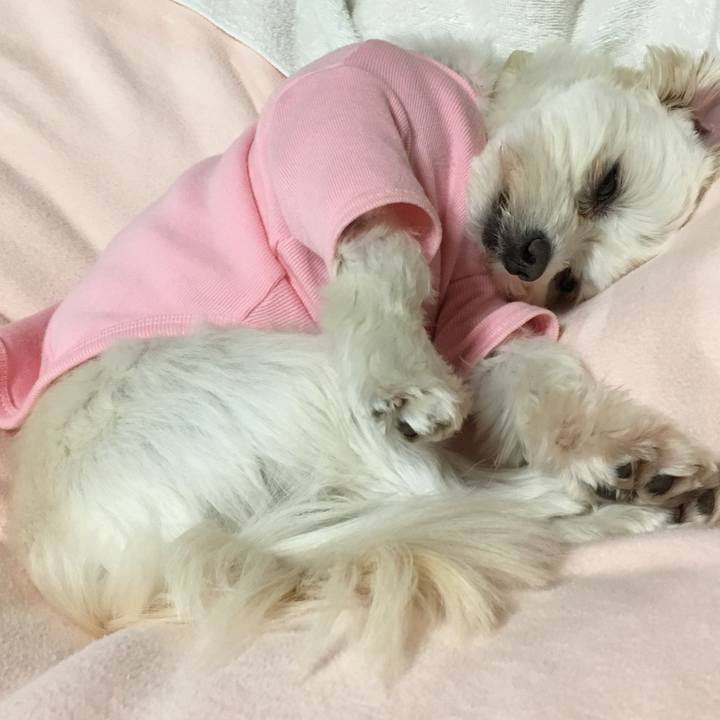 Eab0075d 6b92 49ef b5fd ab69adcb4369