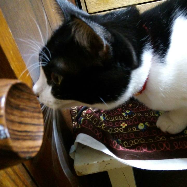 Eab09213 5521 4935 a7df 97e2b0b5c170