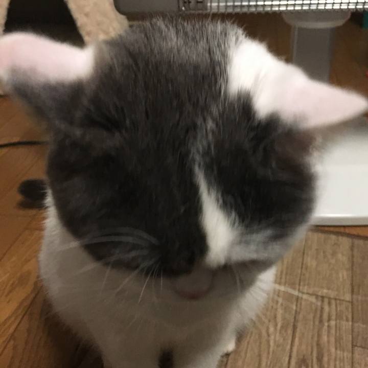 Eab14f42 be85 4641 ba29 5f07d23982e1