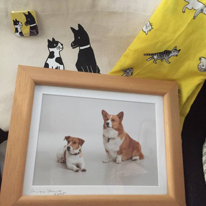 Eab16dfa 43d4 4169 9d4a 912596ec0ff6