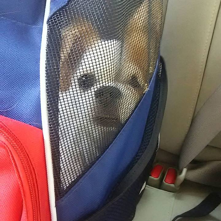 Eab18ba1 3623 44bc b002 93bfbe5094c5