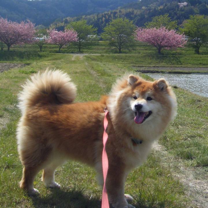 Eab20a03 37c4 4dbf 9eac e953d3b58ba8