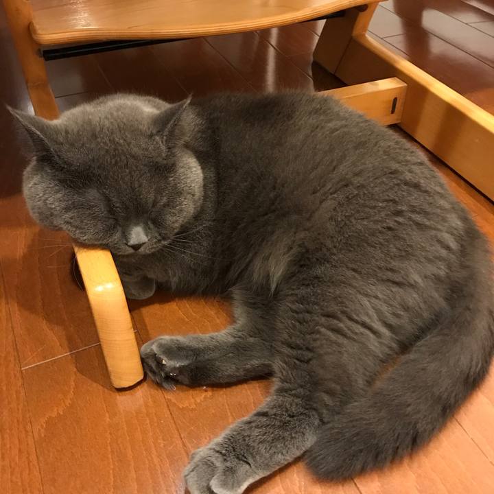 Eab25d96 f28c 46cf a987 c1809043a9f3