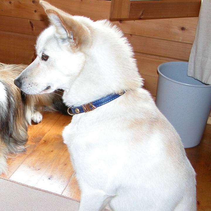 Eab2db4e c17a 4b8e bbb8 23f73d41266a