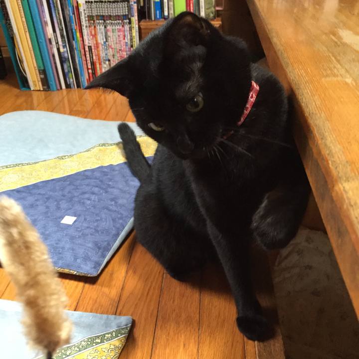 Eab2fae4 41d4 4657 8c19 73f427a1c86d