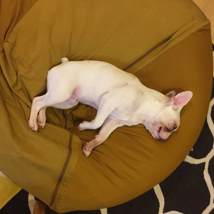 Eab3083c 91ce 4dc2 a47b 612e4068c89d