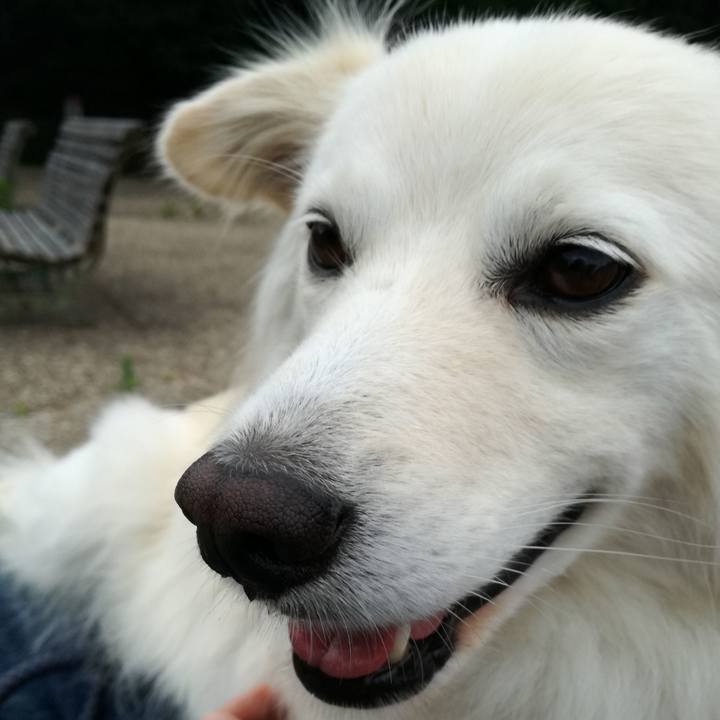 Eab35f71 269d 4575 be47 8fa85da668cc