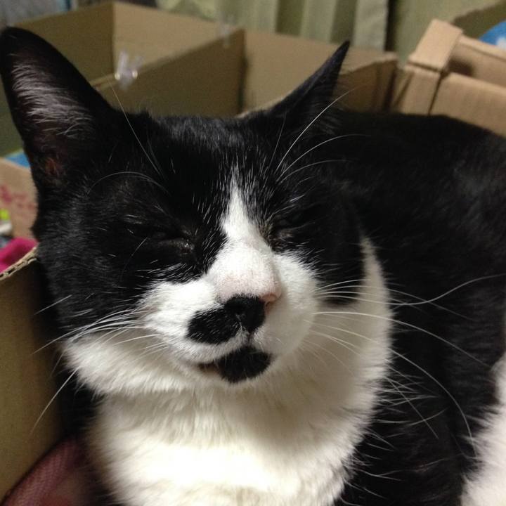 Eab38ff1 d7c4 49f6 8920 32622164f00f