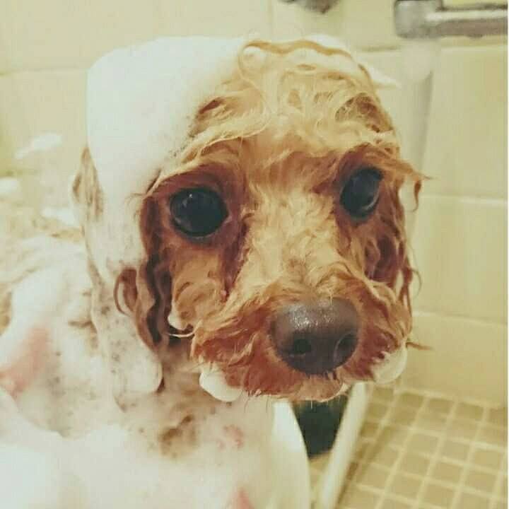 Eab3d2e9 d7a5 4492 a999 095b08bde829