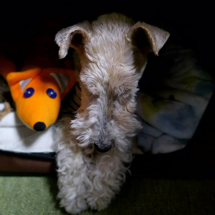 Eab4d161 0880 4f45 a47c ec5841e8b55b