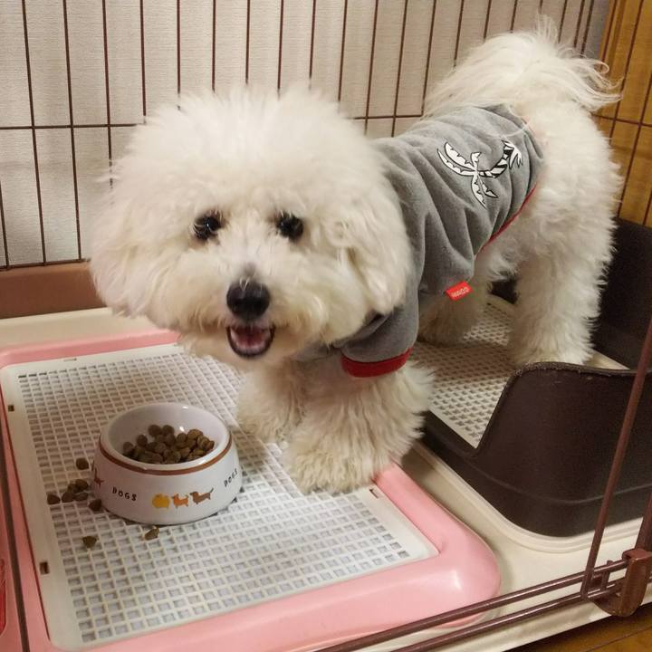 Eab4e003 2a8f 4c69 a1ee ae8bd0f976e6