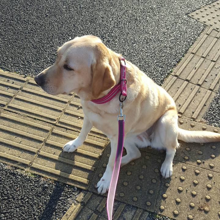 Eab4e26d 956b 453b 8f3e b0d6b38cae8c