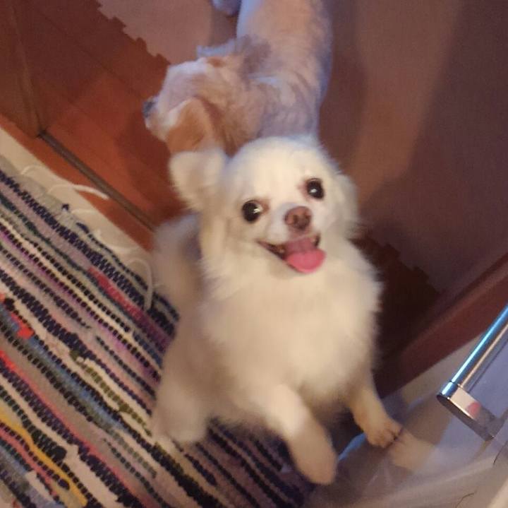 Eab56ca4 e7a0 4871 9bf9 94b756dc1f27