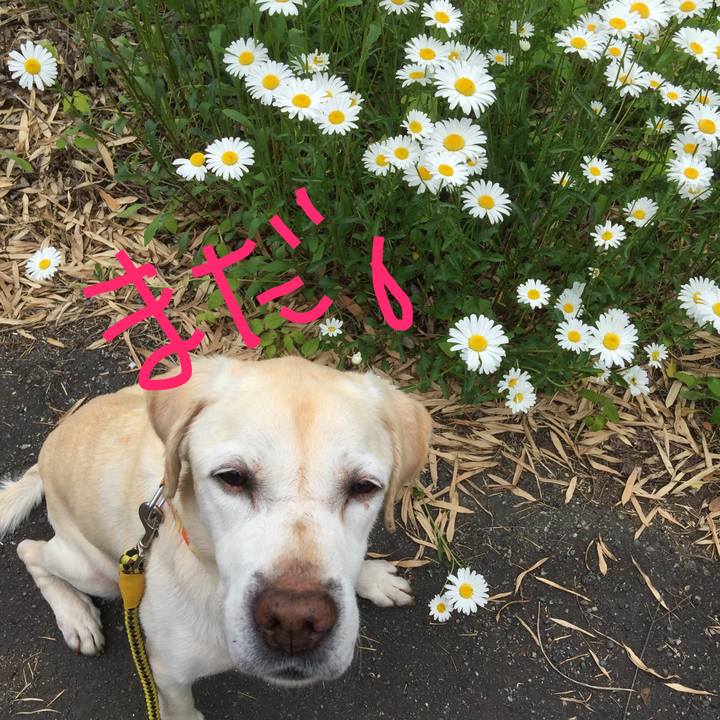 Eab60b8b 18cc 4637 9872 36aa027681ac