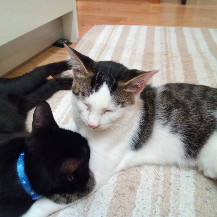 Eab641e8 c92a 4d7b 8637 8a30e40da380