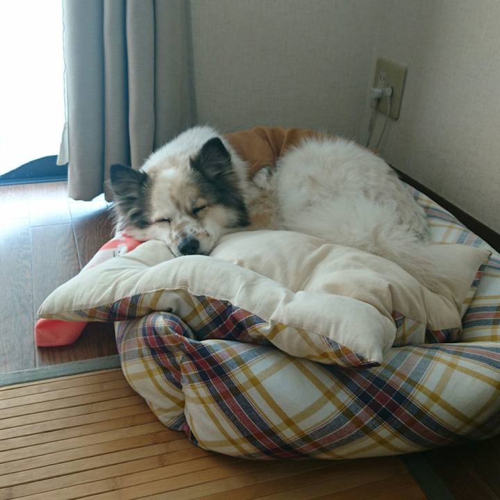 Eab68500 a13e 4bc1 8819 3329984e44b5