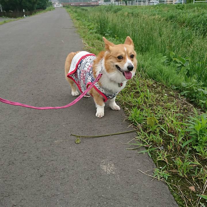 Eab6b143 3eab 403a 9683 2c67c3ff53df