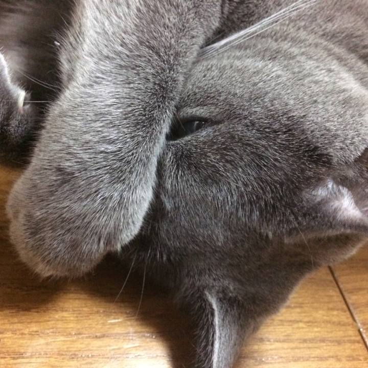 Eab6c480 4db3 4d94 8e81 abb83b87b991