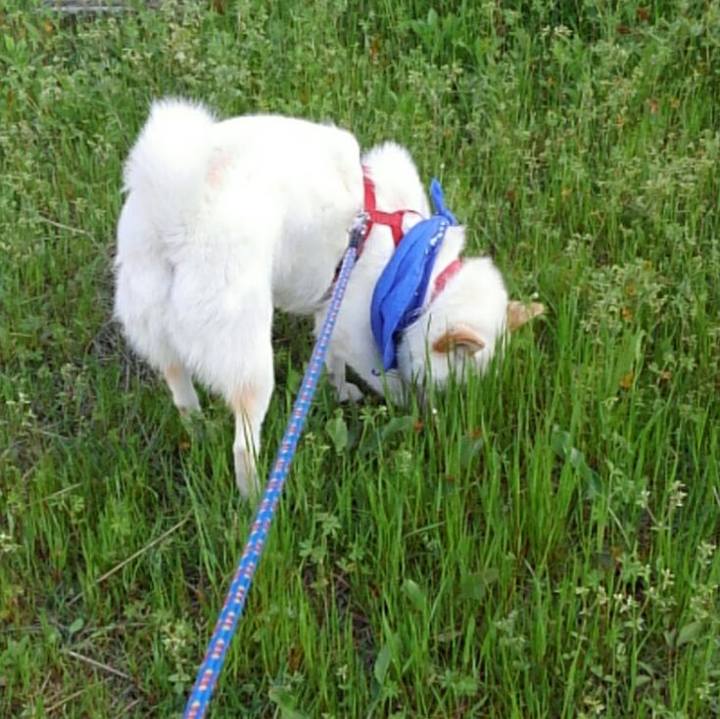 Eab6ce1f 136e 4e7b a818 21de5cabd427