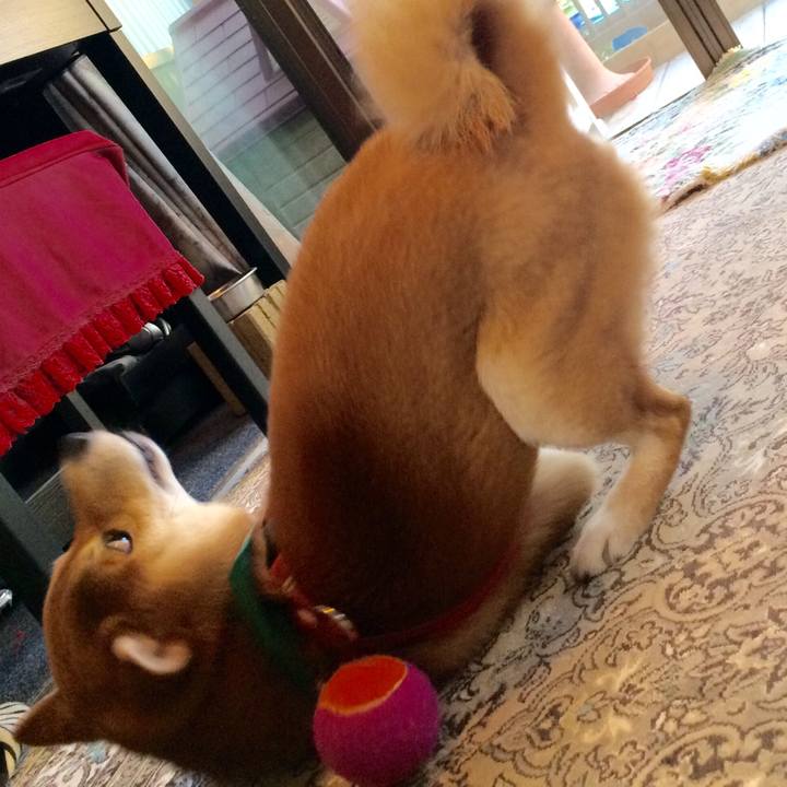 Eab6e623 66a1 49c5 88c8 d15779c9529a