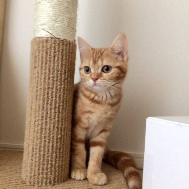 Eab6f09b d4cc 45a2 8a63 66b4fa91b28a