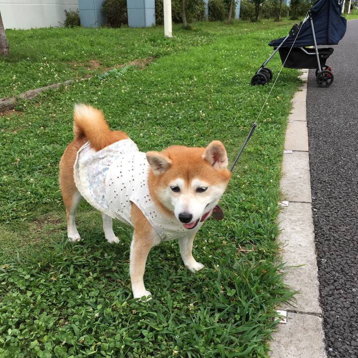 Eab731ac 5a45 4964 b3a5 9996c98bc00f