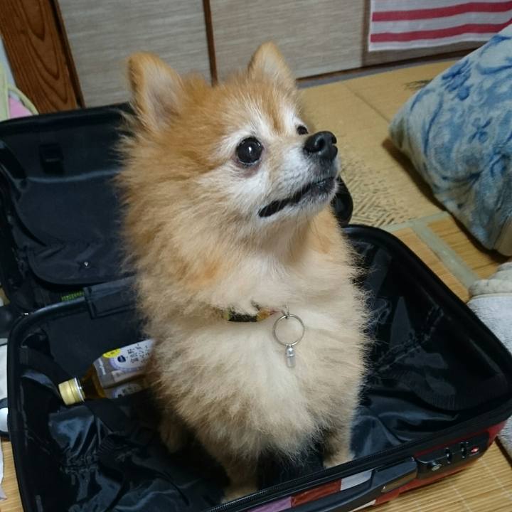 Eab7f06b 0b0b 4109 8444 6c3423938fe8