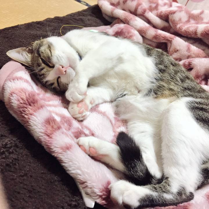 Eab82d3f aa64 4000 a78f 3211196dcd70