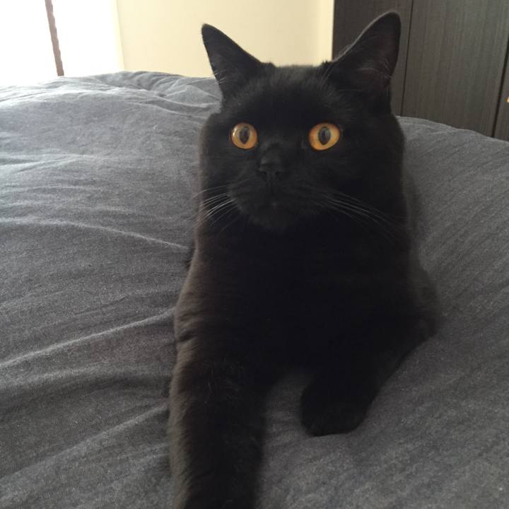 Eab83073 af67 438c a170 3a7cf9dbb3be