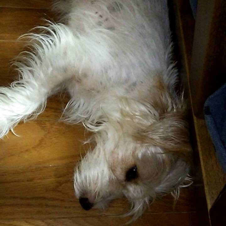 Eab843ee fbb2 4c92 a41d 9652de693795