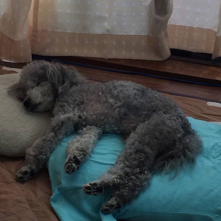 Eab851fa 37b7 4b0b b592 b0f78d42c6c4