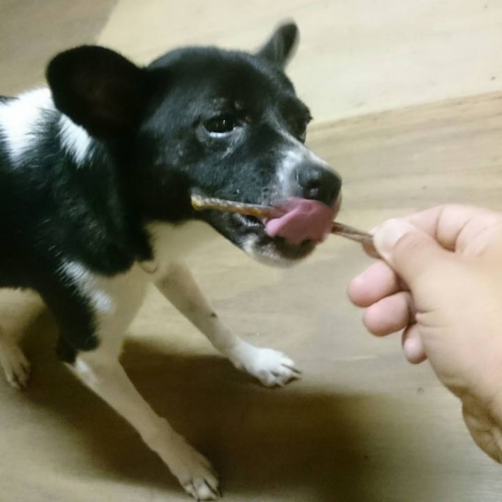 Eab9ee32 e13f 41dd bb1f 0130ae4c1196