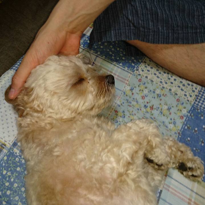 Eaba8baa 4a44 40a4 95ac 8046e31d66ca