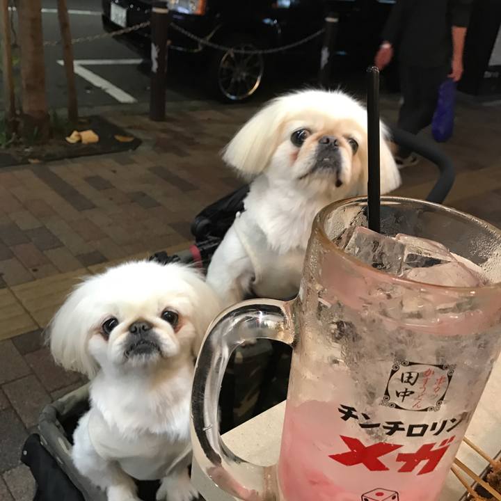 Eababbf3 4771 4215 a565 83d32b452bb2