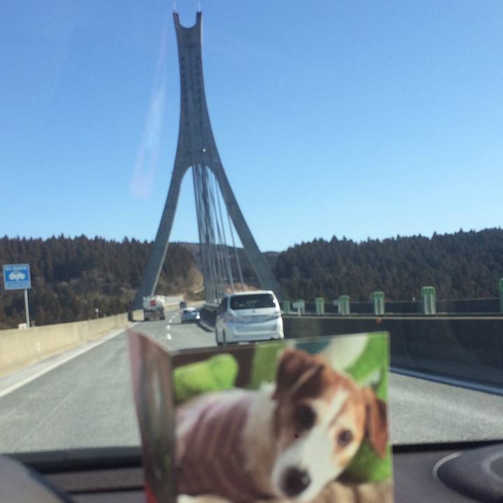 Eabb2ce7 3963 41b7 b4a2 0f22d506cdd4