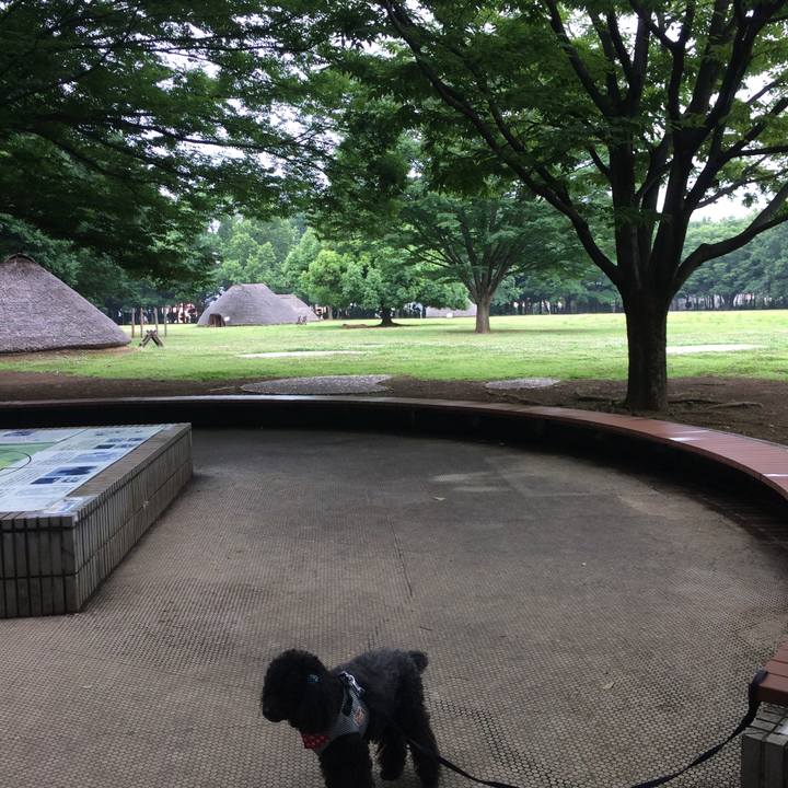 Eabb6909 1c74 4022 abe1 8f0af15e8e46