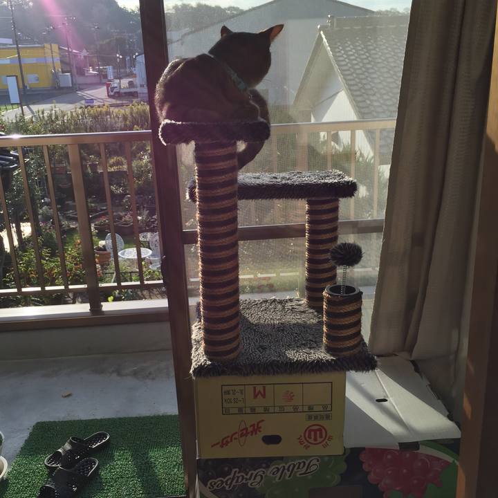 Eabbcb6f c629 423a 90bc e0177cbe5a6d