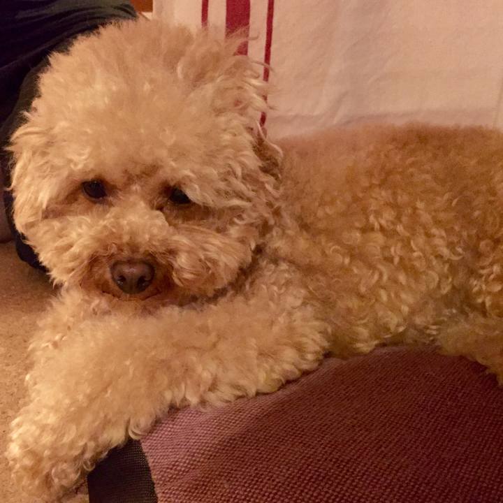 Eabc7eb2 79eb 41c3 b986 67fa07240977