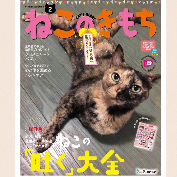 Eabcb682 4899 401e b102 9385b96e2009