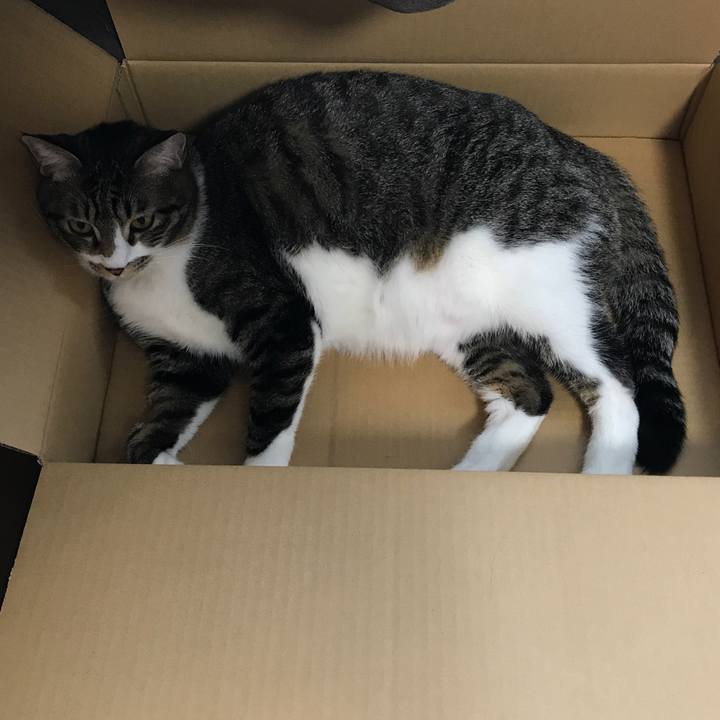 Eabd9150 e1e3 4faa 84d1 9254118df525