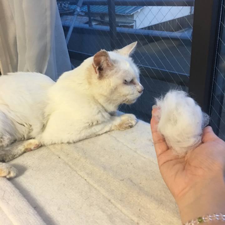 Eabe1491 ca01 47c9 b88d 6e9641bc9bf7