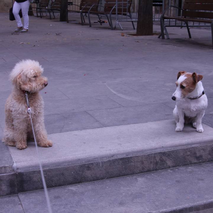 Eabe6c70 4597 41c3 8e3f 7591e3f598ea