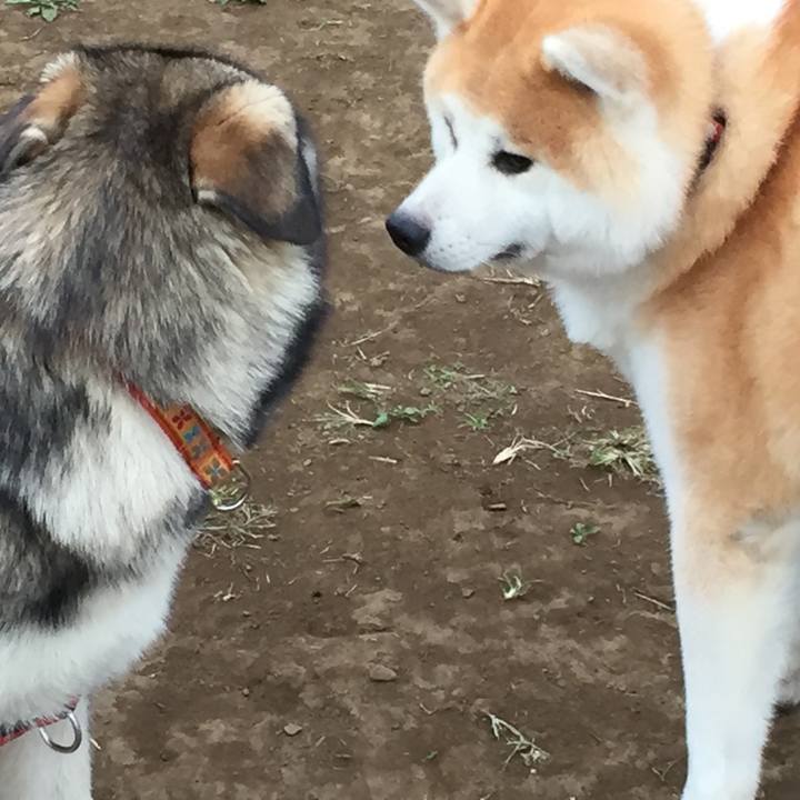 Eabe7ea1 7020 4b85 a886 35a5994b4c1d