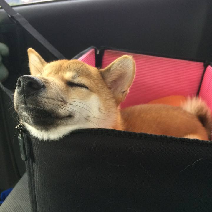 Eabed070 8c5e 4494 8d32 d935823e664c