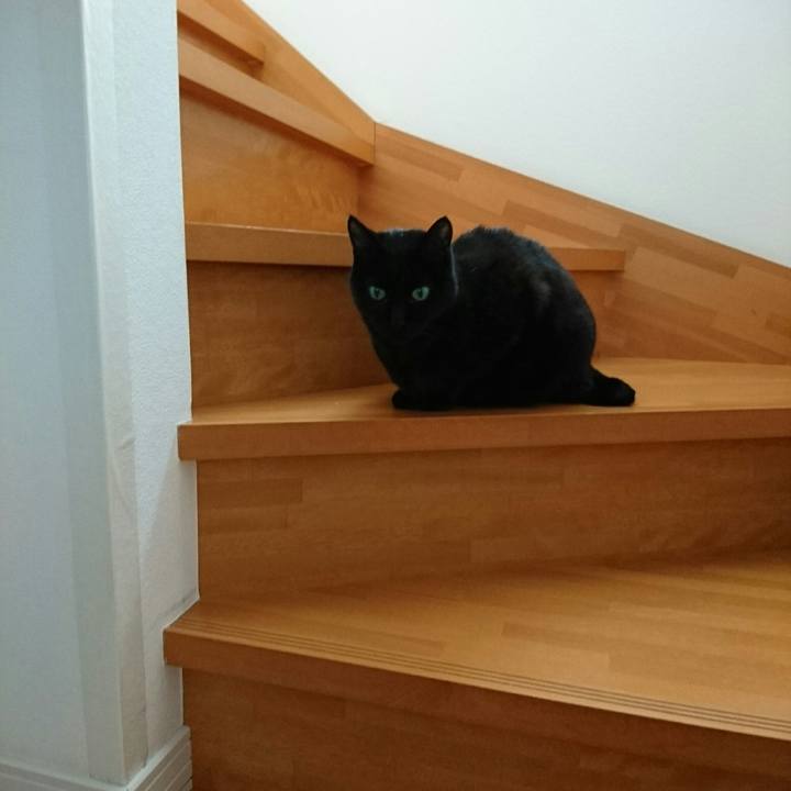 Eabed3d1 42ee 452a 8f9a 586c03737679