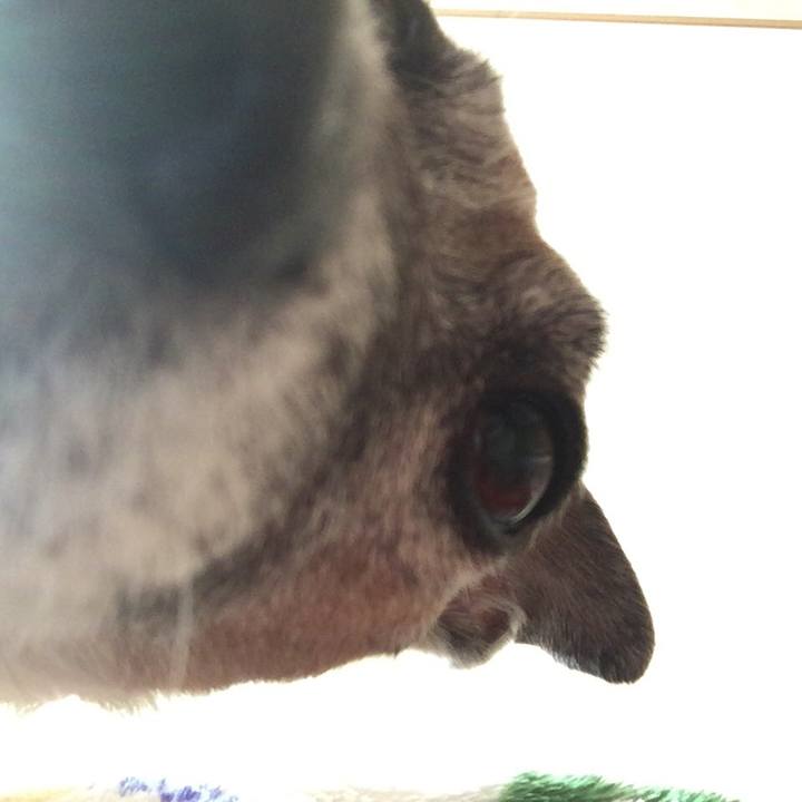 Eabf9e24 2fb4 47b4 add7 5837800406cc