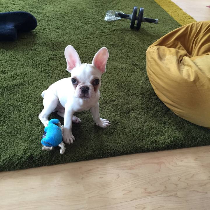 Eabfb0e6 eb5c 406b b0d0 ebf4af407a93