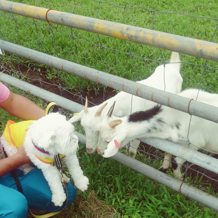 Eabfff5a 245e 4153 ad48 6584b20783f1