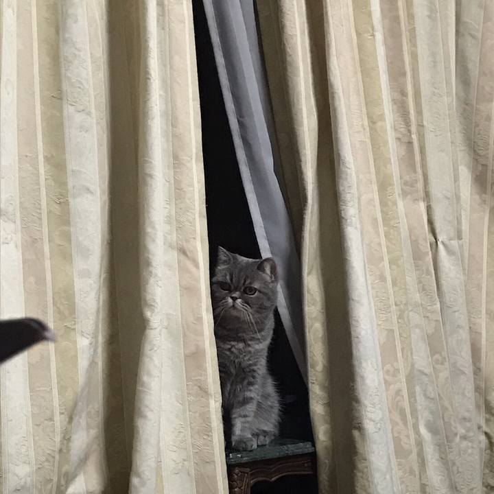 Eac08de0 a00a 4348 83cf ba03b996d1a5