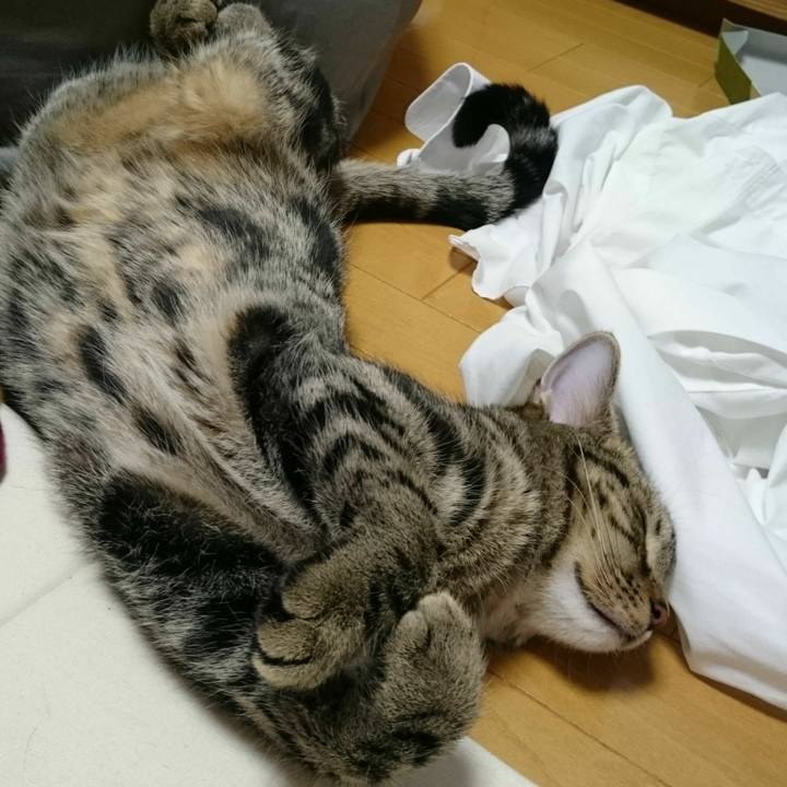 Eac14422 0165 4fa4 91bc fbfbf19a1d8a